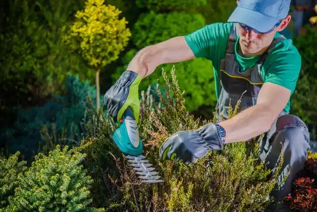 landscaping services Grenada